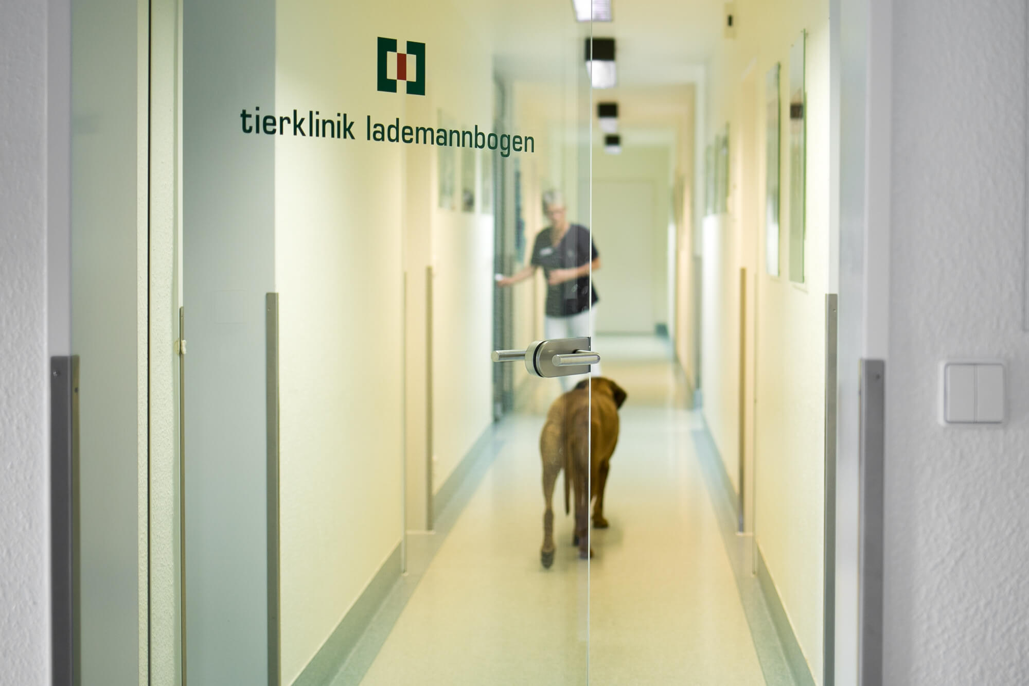 Über uns | Tierklinik Lademannbogen | Hamburg