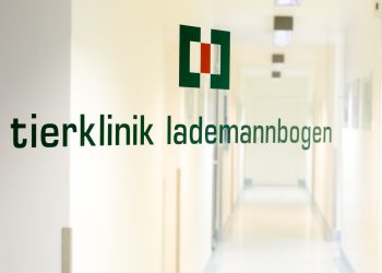 Gesucht: Kleintierarzt (m/w/d) mit Schwerpunkt Innere Medizin – Teil- oder Vollzeit