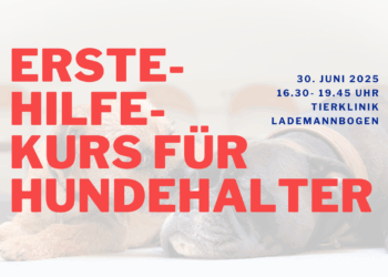 Erste Hilfe Kurs für Hundehalter am 30. Juni 2025